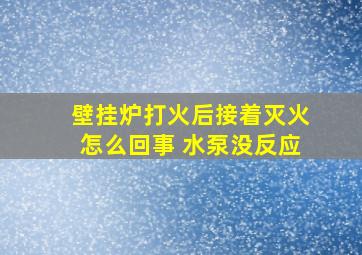 壁挂炉打火后接着灭火怎么回事 水泵没反应